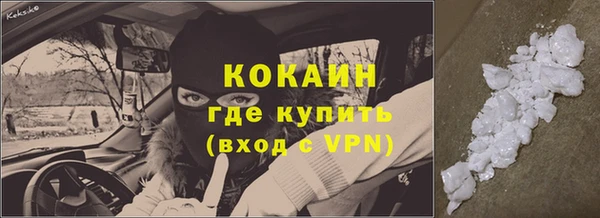 сатива Иннополис