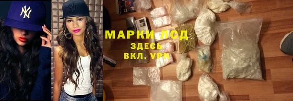 сатива Иннополис
