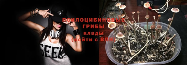 сатива Иннополис