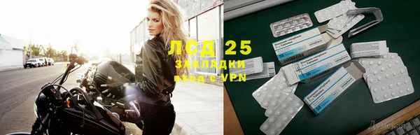 сатива Иннополис