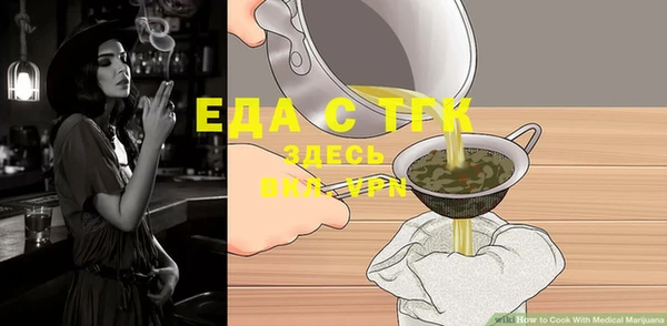 метадон Инта