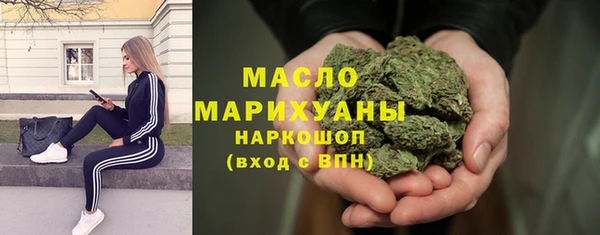 твердый Инсар