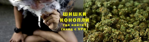 метадон Инта