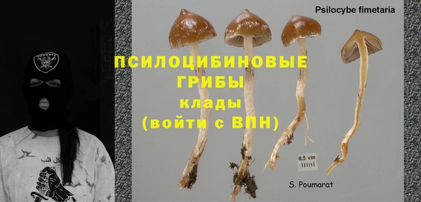 метадон Инта
