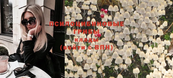 сатива Иннополис