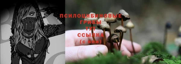 твердый Инсар