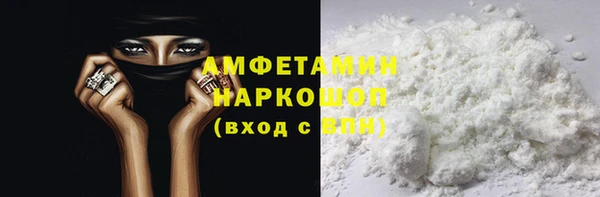 твердый Инсар