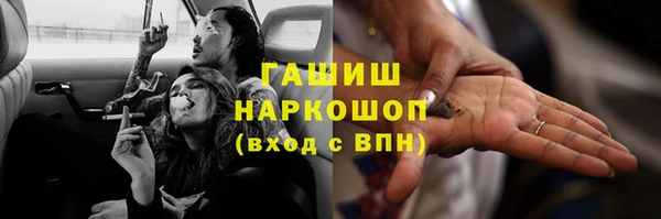 сатива Иннополис