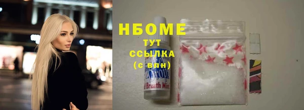 твердый Инсар