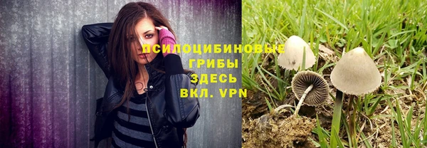 твердый Инсар