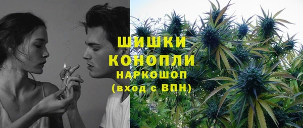 сатива Иннополис
