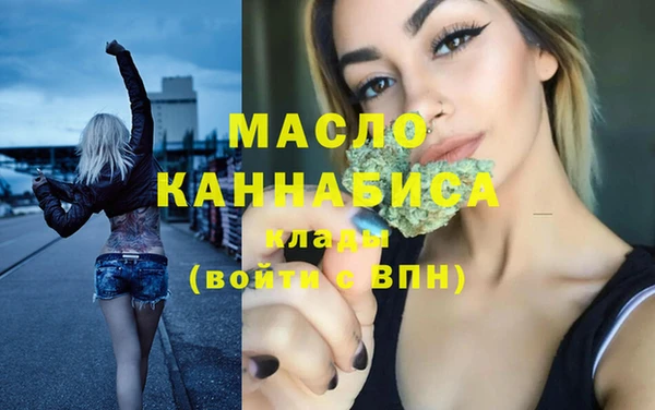 твердый Инсар