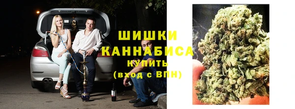 сатива Иннополис